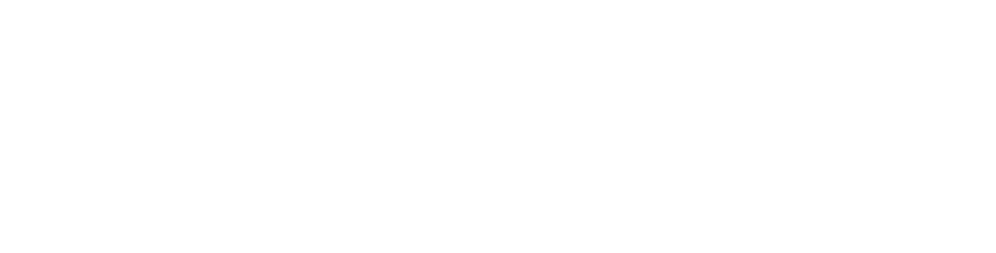 Logotype_white